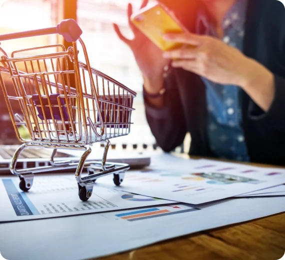 D2C eCommerce Website and Application Development