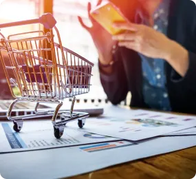 custom ecommerce development