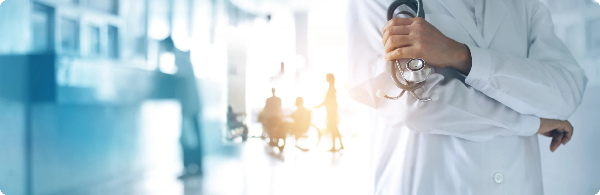 healthcare software development services