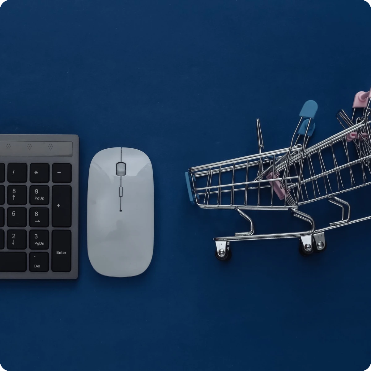 custom ecommerce website development